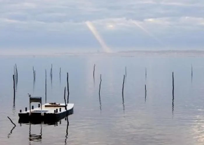 Appartement T2 Neuf Centre Arcachon, Proche Plage, Parking Inclus - Fr-1-374-94